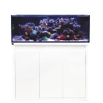 D-D Reef-Pro 1200
